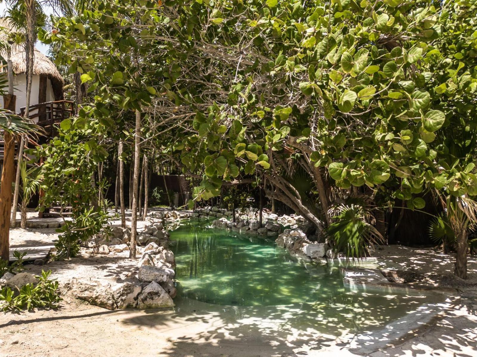 Niken Beachfront Tulum Hotel Eksteriør billede
