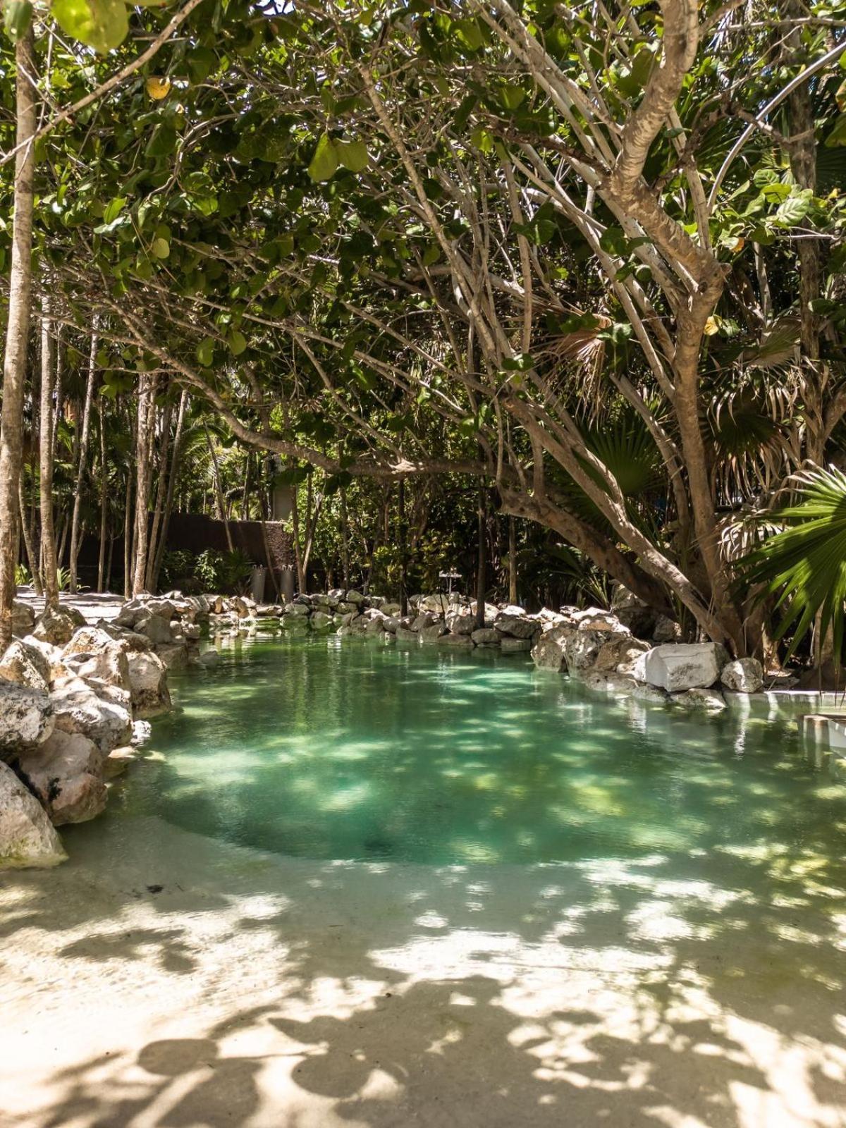 Niken Beachfront Tulum Hotel Eksteriør billede