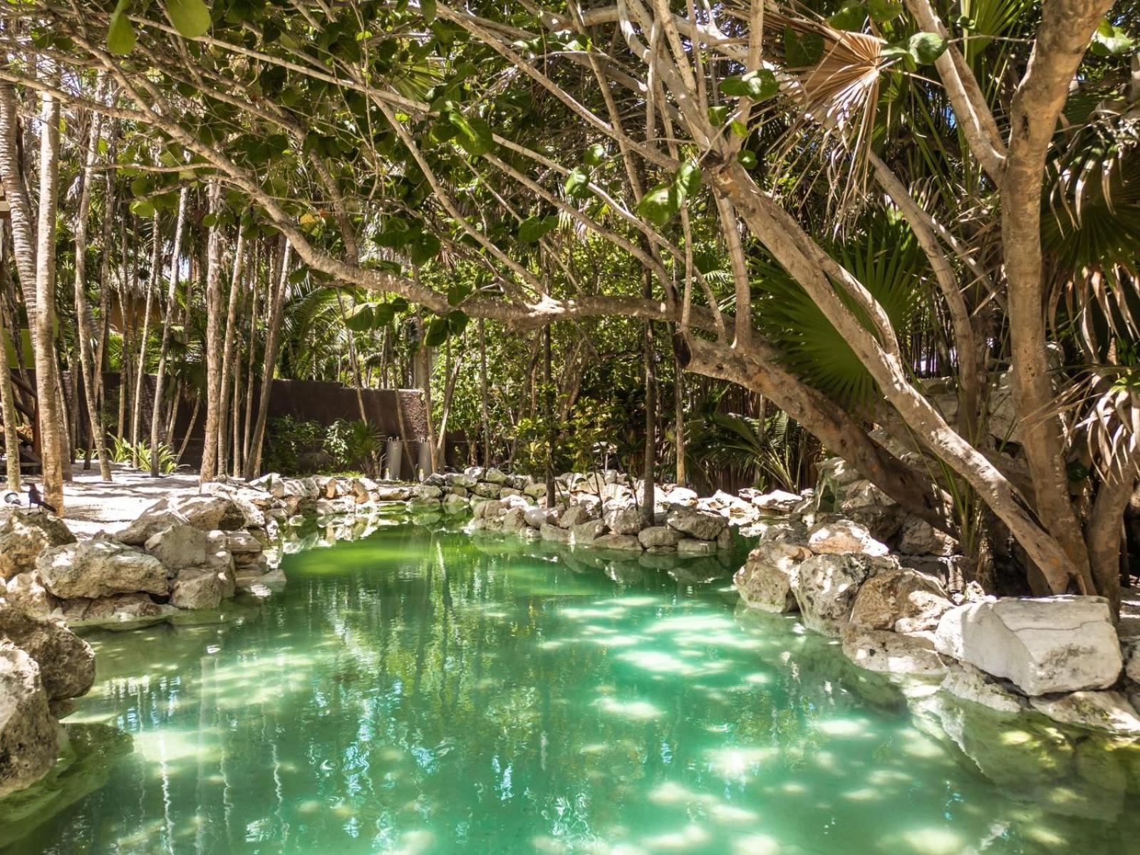 Niken Beachfront Tulum Hotel Eksteriør billede